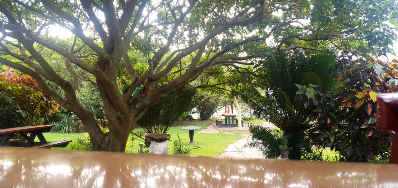 Sunset Bed And Breakfast Coffee Bay Extérieur photo