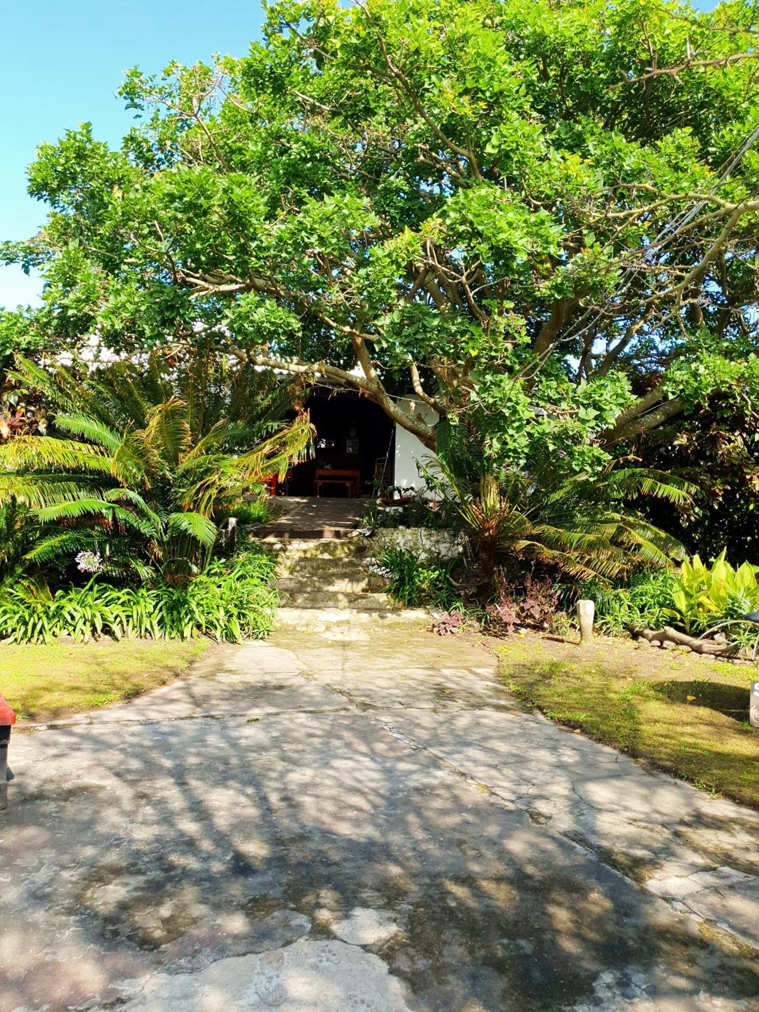 Sunset Bed And Breakfast Coffee Bay Extérieur photo